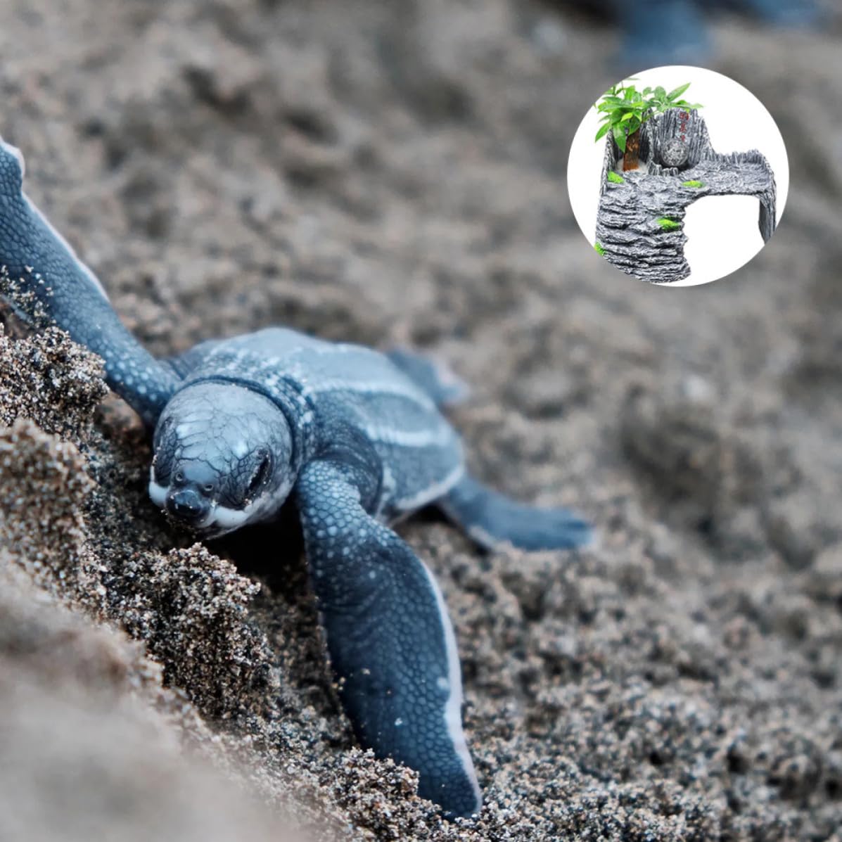 Kletterplattform und Habitat Deko für Schildkröten Schräg und Kunstharz Gefertigt mit Langlebiger Sonnenplattform für Wasserschildkröten