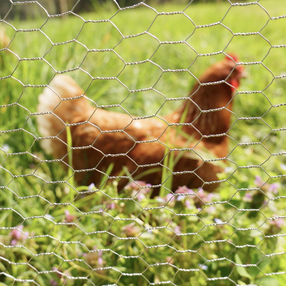 Oxeo Grillage à Poule 30 mètres Hauteur 1m - en Acier galvanisé – Maille hexagonale 25x13mm - Filet de clôture pour poulailler