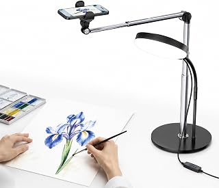 Mistriddle Aluminum Telescopic Overhead Phone Stand with USB Round Light