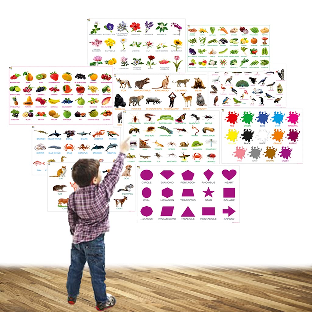 Charts | Fruits Chart | Wild Animal Chart | Birds Chart | Colour Chart | Flower Chart Insects Chart | See Chart | Shapes Chart | Vegetables Chart | Domestic Animal Chart | 12x18 Size Chart