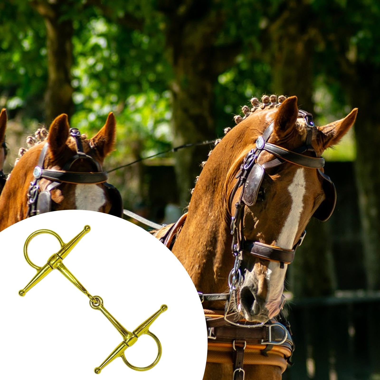 Morso per Cavallo, Filetto per Equitazione, Resistente all'Usura, Anello a D, Forma ad H, Accessori equestri, Attrezzature per l'allenamento