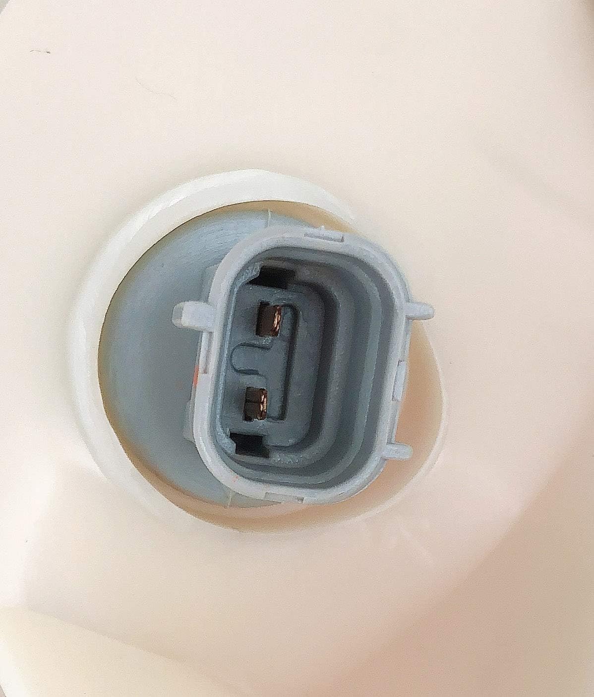 18-3196-00 81620-04010, TO2520141 Parking Side Marker Cornering Light w/Bulb PaintTrim 95-96 Tacoma Front Left (DRiver)
