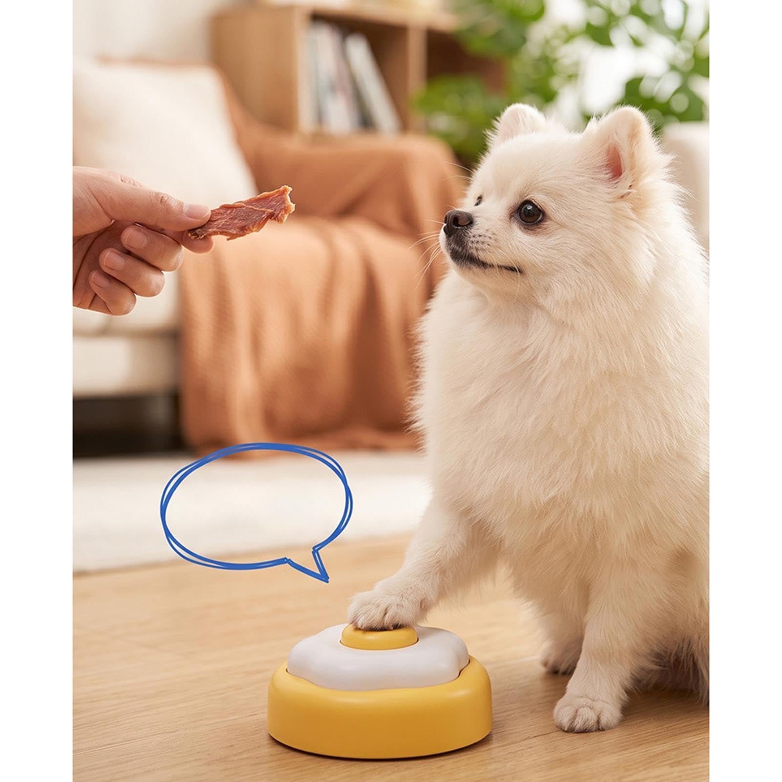 Hundetrainings-Glocken, Heimkiste, Bodenring, Spielzeug, beschreibbarer