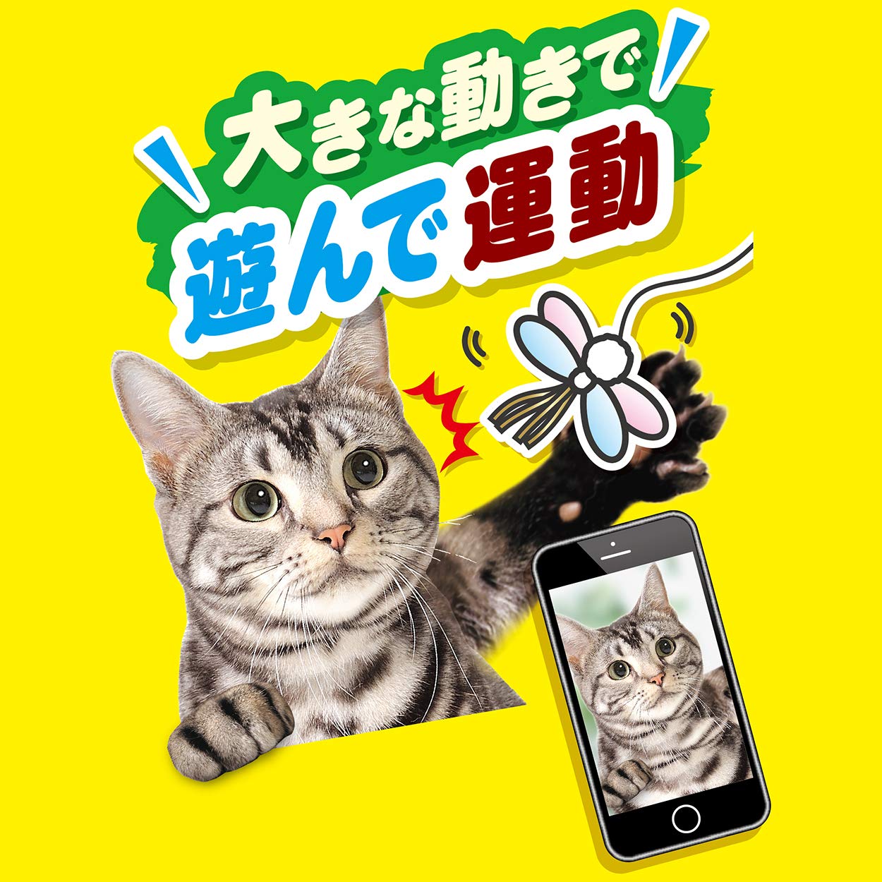 キラキラ⭐️　　ひょっこり猫 猫 おもちゃ 猫じゃらし / zeze FEATHER CAT PLAYING ROD 羽 鈴