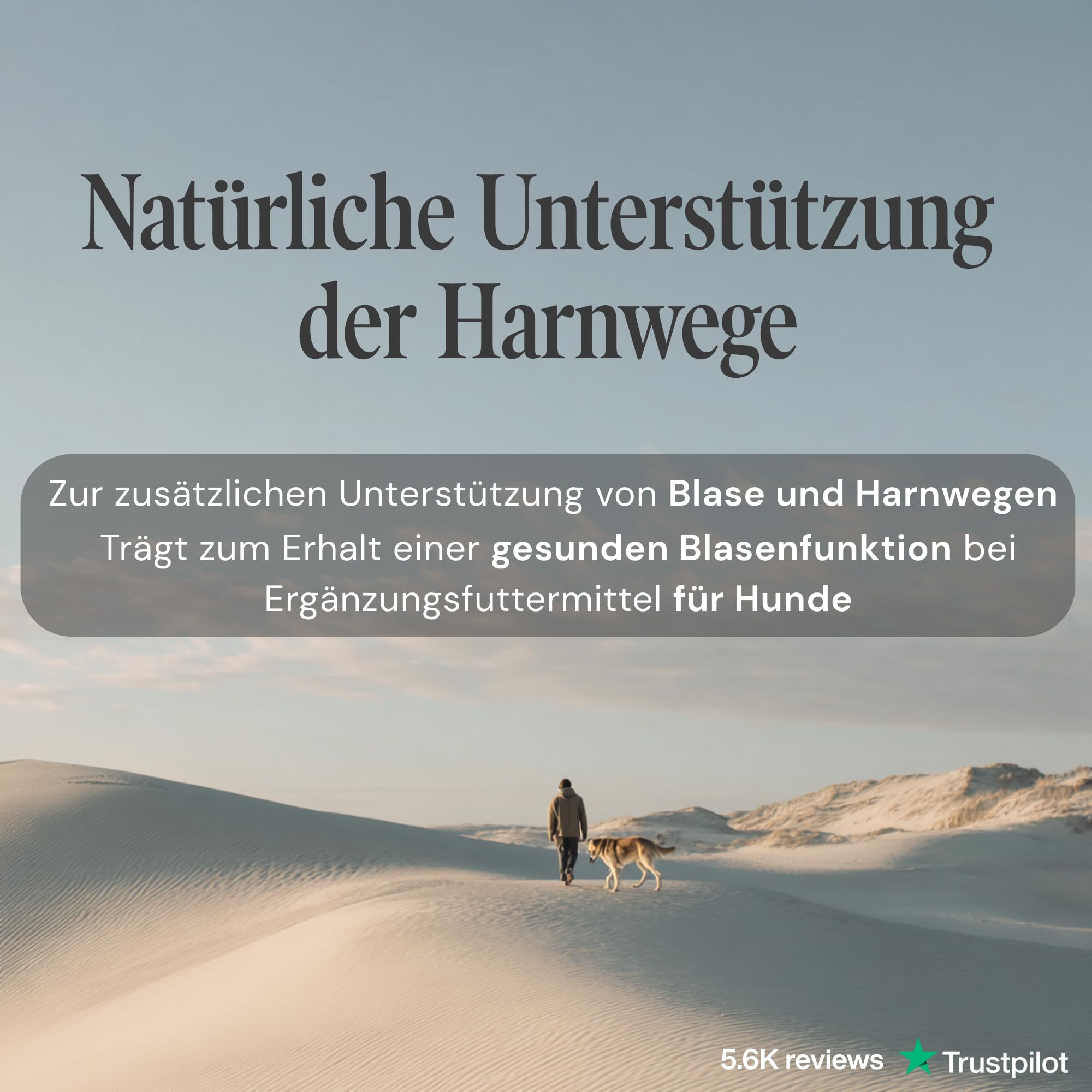Urologist Aid - Harnwegshilfe für Hunde bei Blasenentzündung, Struvit & Blasengries - pflanzliches Nahrungsergänzungsmittel zur Unterstützung von Blase & Harnwegen - 90 × 1000 mg - Sensipharm