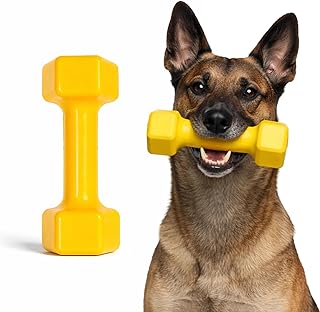 Virtually Indestructible Dog Dumbbell