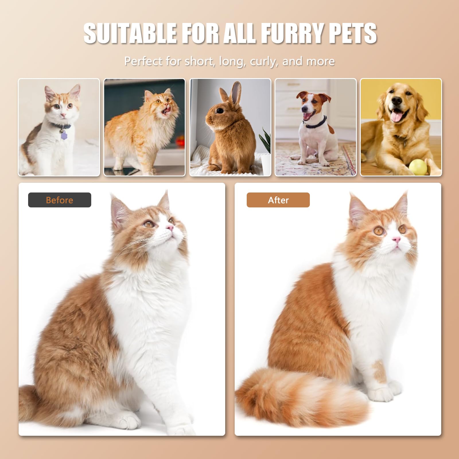 Spazzola a Vapore per Gatti 4 In 1 Spazzola Vapore Gatti Spazzola per Cani Spazzola Capelli per Massaggio,Cura e Depilazione Steamy Cat Brush Spazzola Gatto con Vapore per Gatti Capelli Lunghi Corti