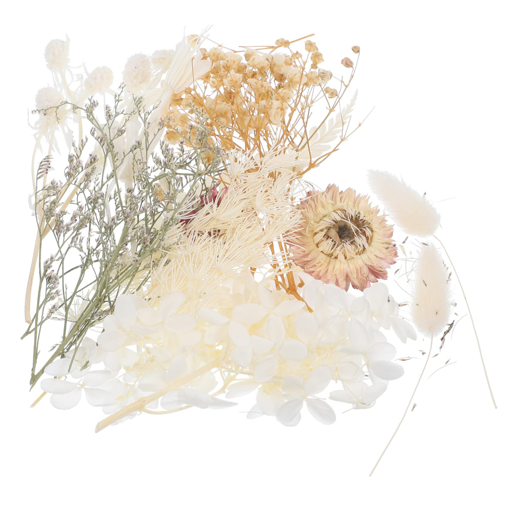 STOBAZA 5sätze Dried Pressed Flowers Für Resin Craft Echte Trockenblumen Für Kerzenherstellung Handyhüllen Karten Und Mehr Leicht Und Pflegeleicht Für Kreative Projekte