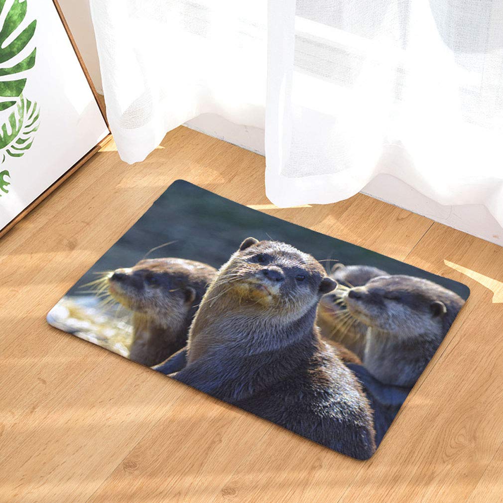 Nunubee Squirrel Flannel Non Slip Entrance Rug Doormats Soft Carpets Rugs Patio Kitchen Home Indoor Outdoor Bedroom Carpet 16x24 Inch / 40x60 cm - No.8