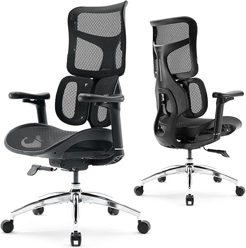 Miniatura 1 de SIHOO Doro S100 - Silla de oficina ergonómica - Soporte lumbar dinámico doble, reposabrazos coordinados 4D, respaldo ajustable de 5 niveles, ángulo