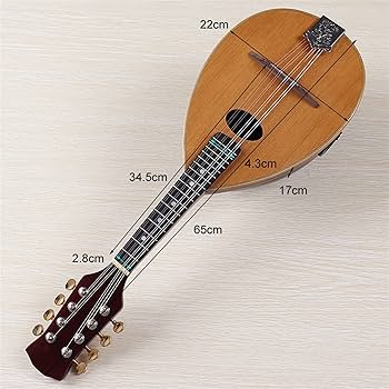 HAND-CRAFTED MANDOLIN VeneziaM-50(メ1035) Amazon.com: Ortega Guitars, 8-String F-Style Series All
