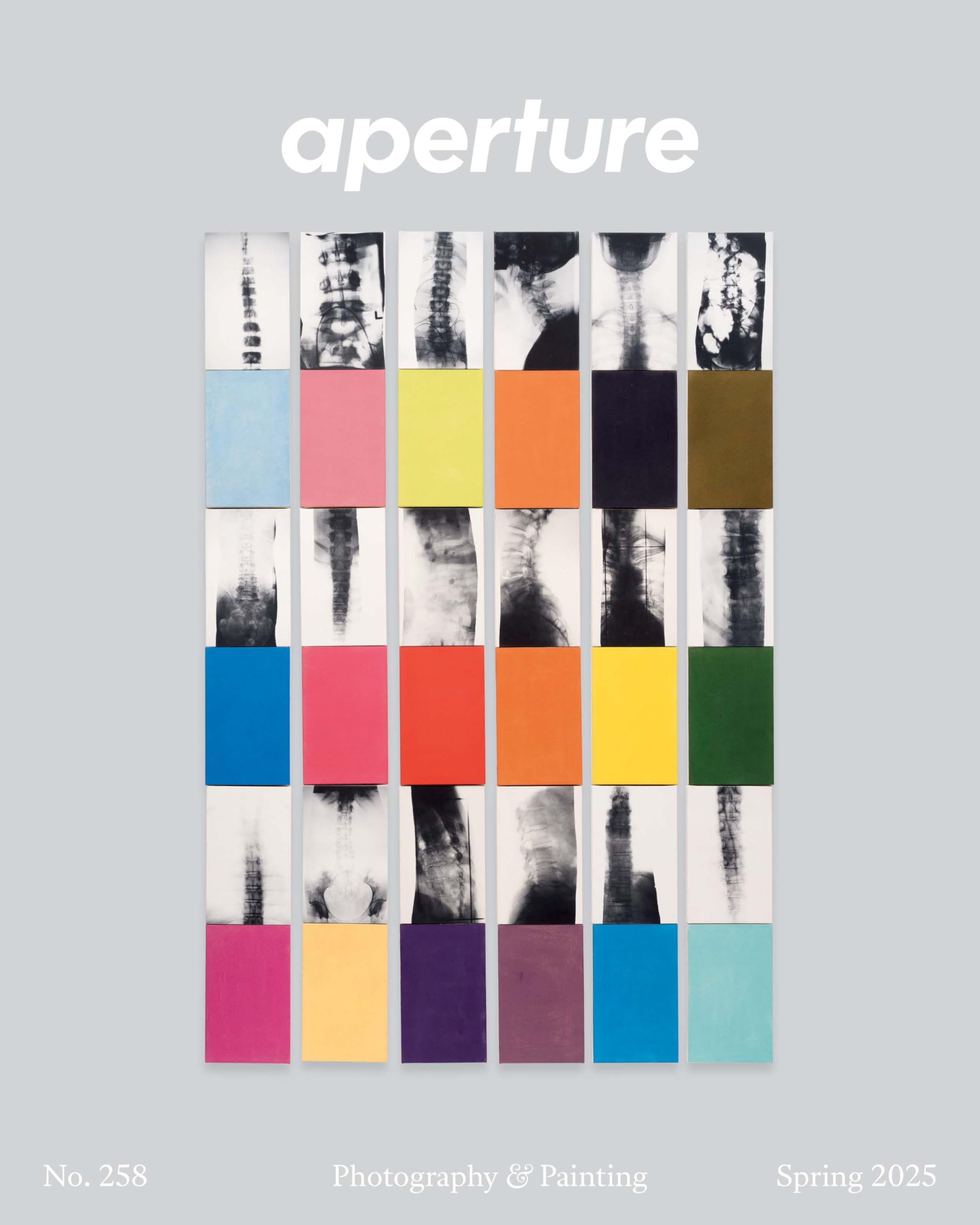Photography & Painting: Aperture No. 258 (Aperture Magazine)