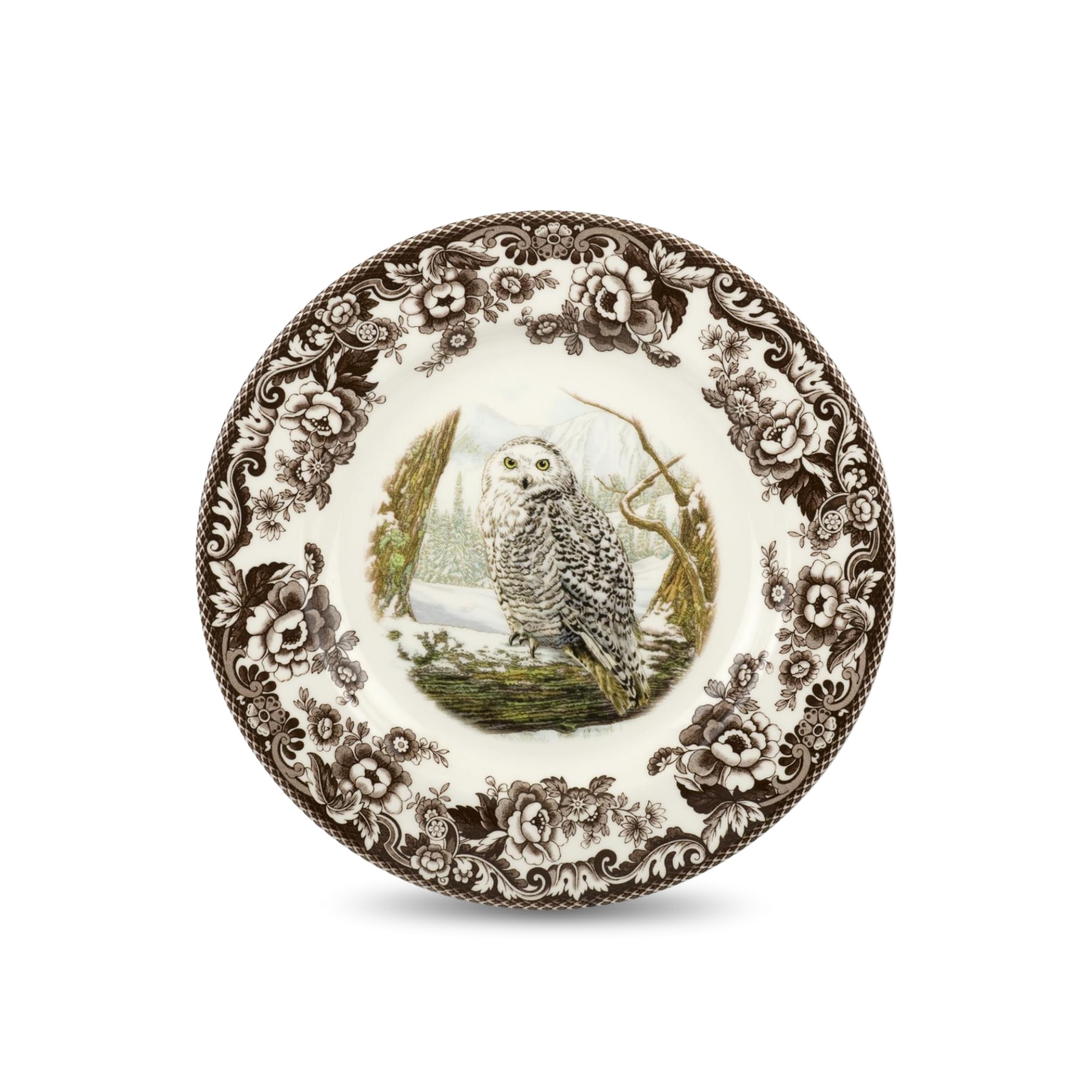 Amazon.com: Spode Woodland Snowy Owl Dinner Plate – Birds of Prey
