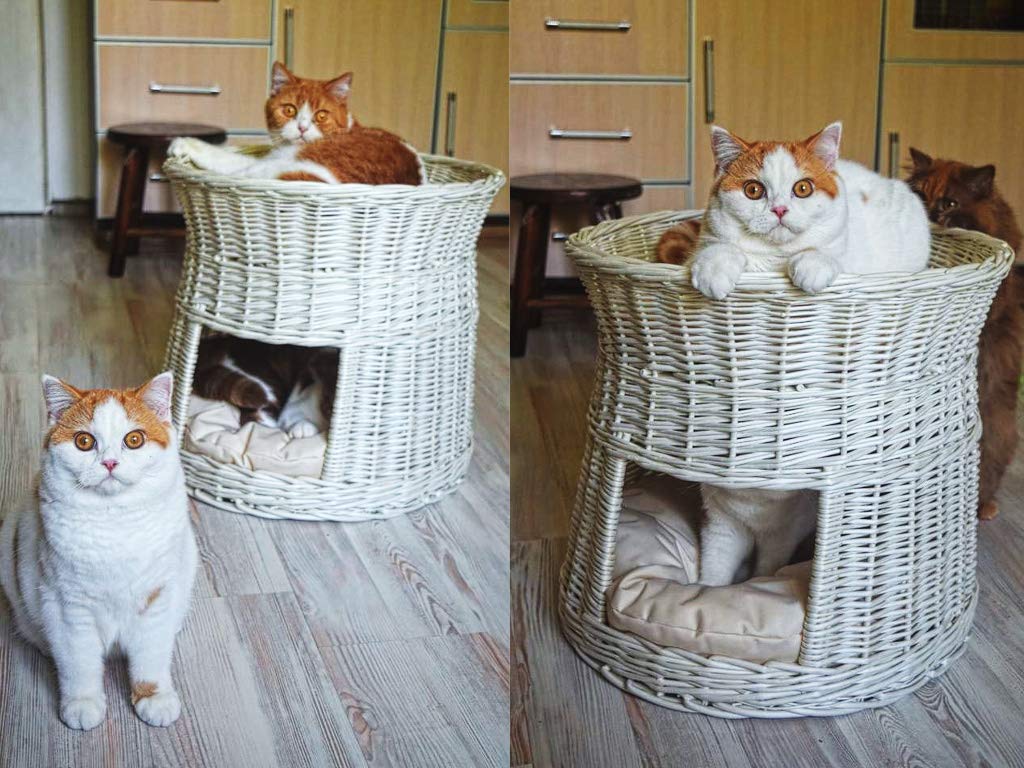 Katzenkorb zum Schlafen – Katzenhütte Indoor – Größe: 50 cm rund – Katzenhöhle aus Weide – Zweistöckiges Katzen oder Hundebett in Weiß – Kissen Ecru
