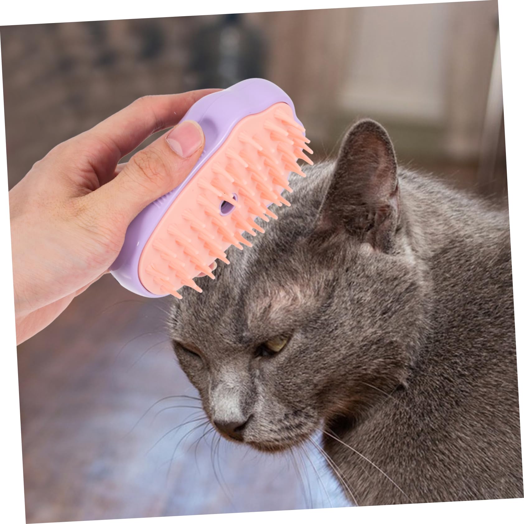 INOOMP 5pièces Brosse à Vapeur Pour Chat Brosse Auto-nettoyante Massage Pour Toilettage Relaxant Et Couleur Violette