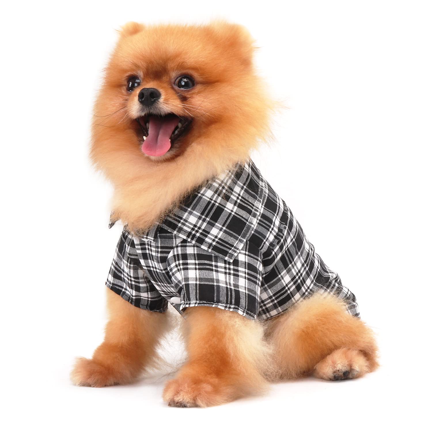 QiCheng & LYS Camisa para Perroscamisa,para Perros de Moda, Camisa para Perros con Flores, Adecuada para Perros pequeños y Medianos (Negro, L)