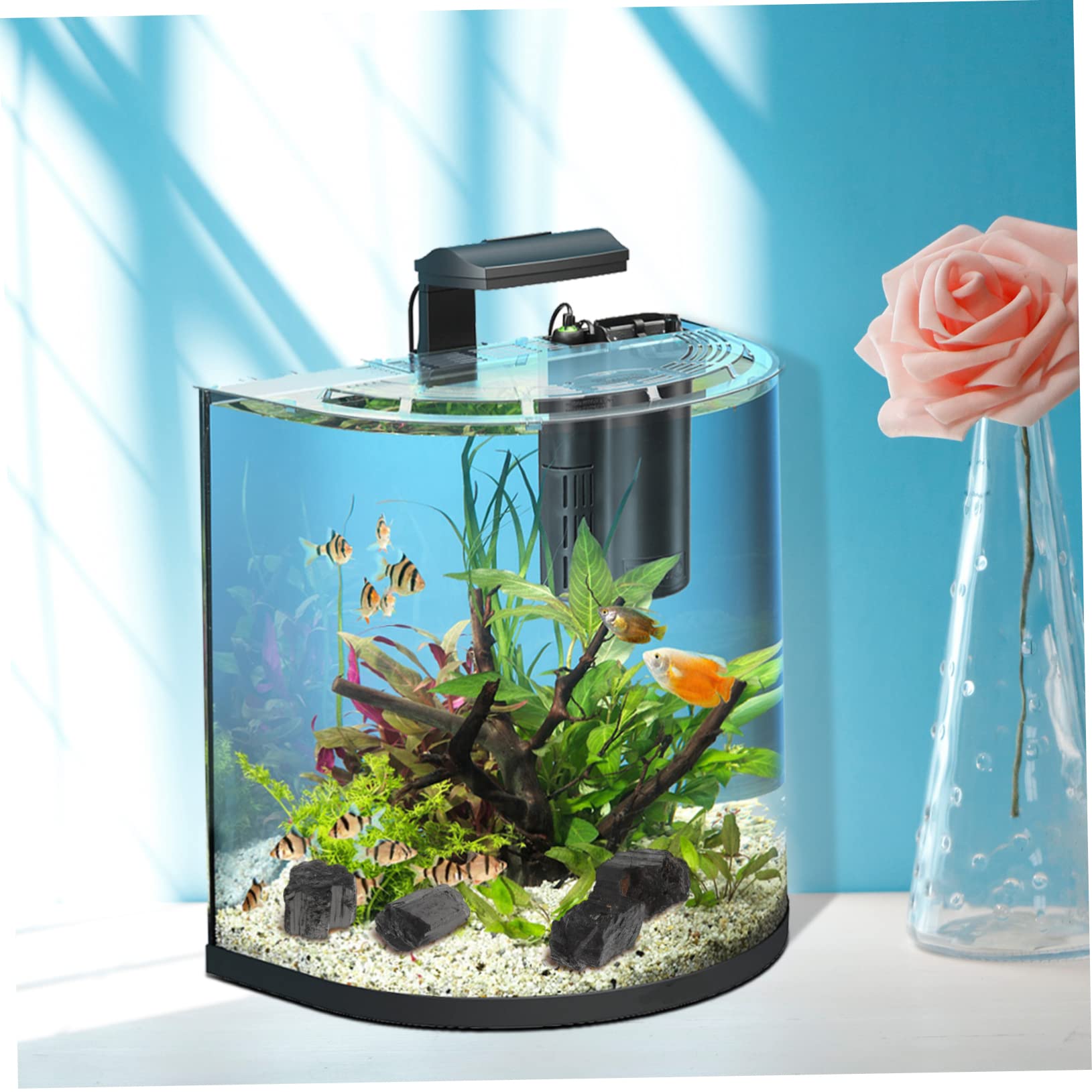 WRITWAA Unique Natural Black Tourmaline Rough Stone for Decor Fish Tank Planter Pot Home Adornment