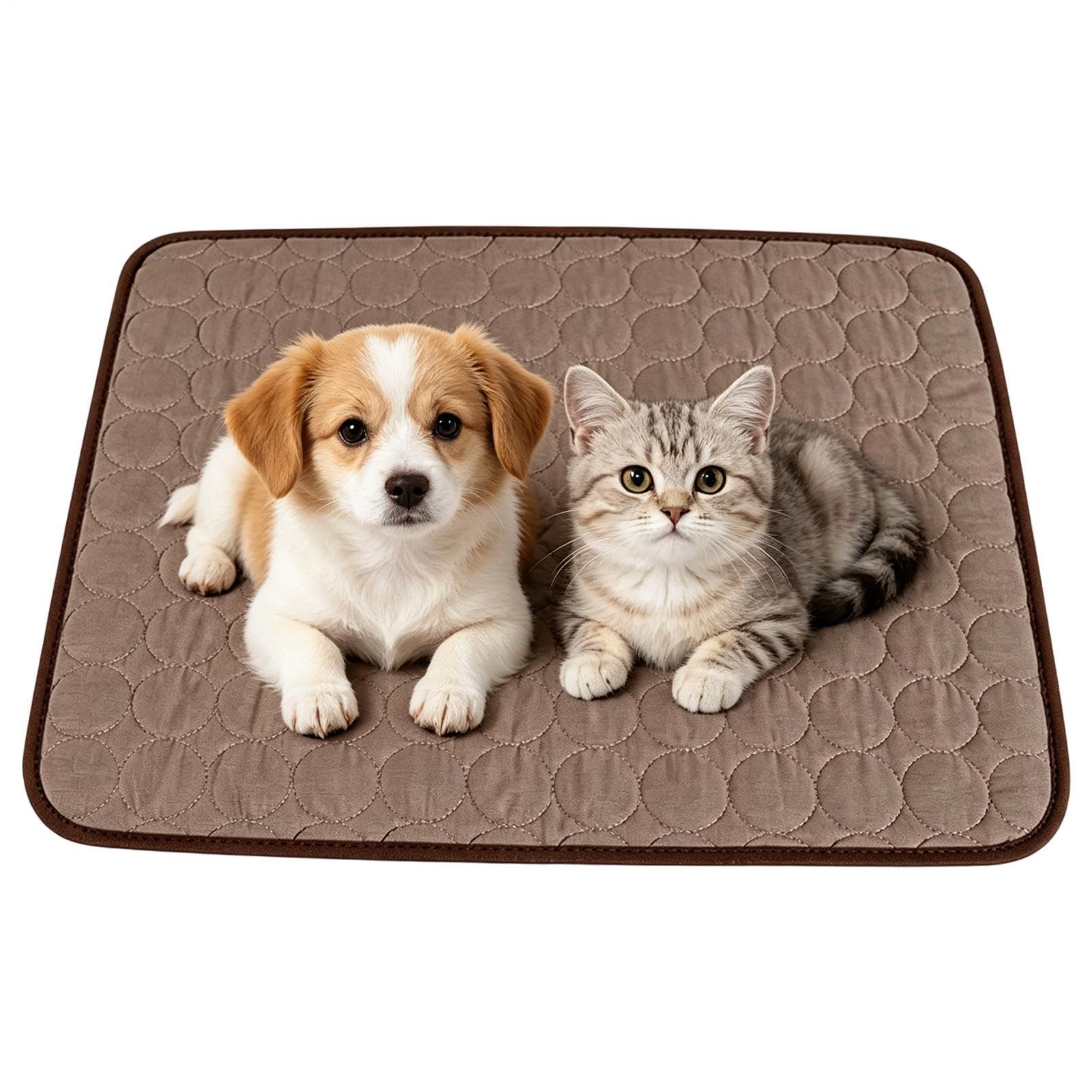 Tapis rafraîchissant pour chien en soie glacée respirante et lit haut de gamme