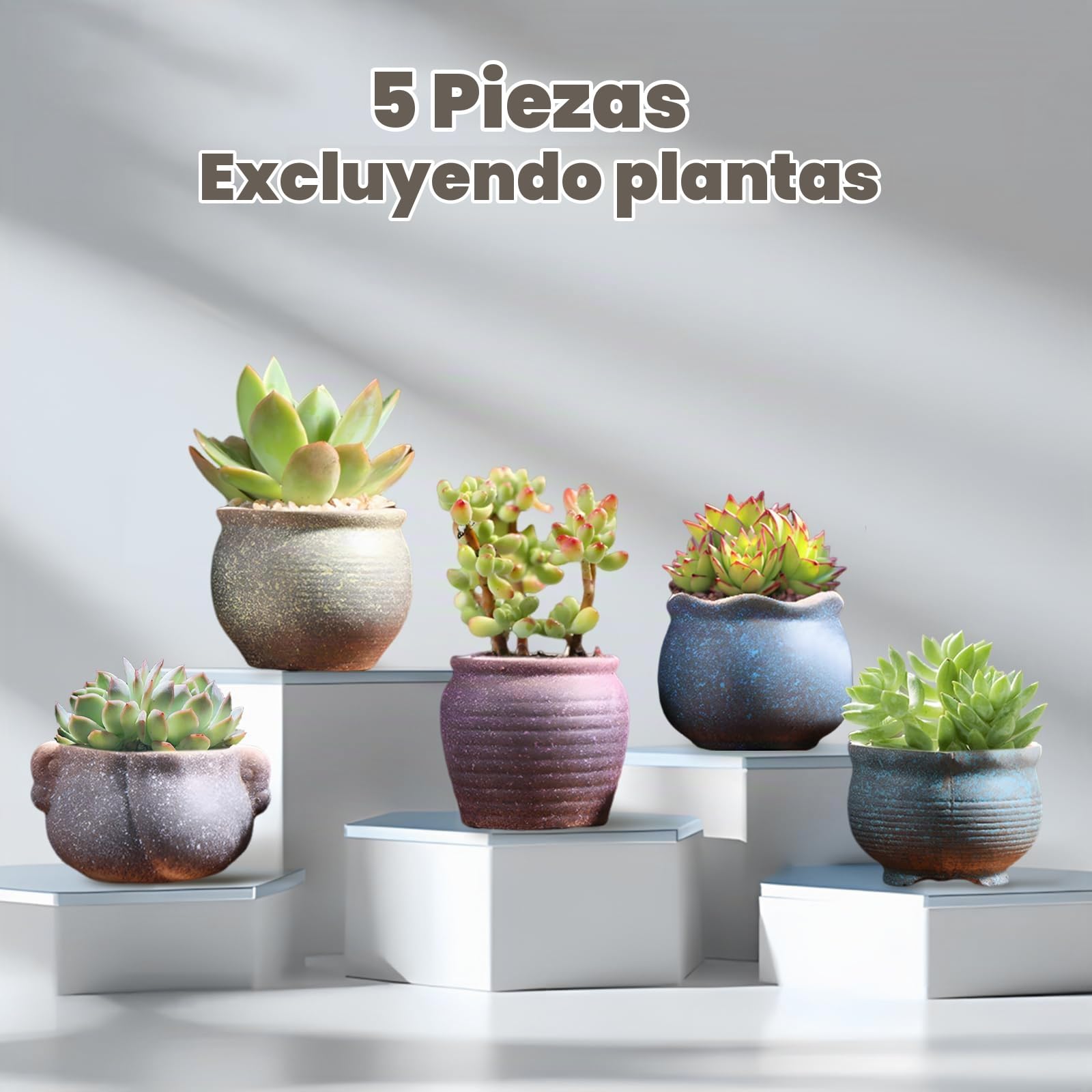 Maceta Suculenta,Macetas Decorativas de Cerámica,Maceta Cactus y Suculentas, con Agujero de Drenaje,para Plantas de Interior/Exterior, Flores, Cactus, Decoración del Hogar del Jardín