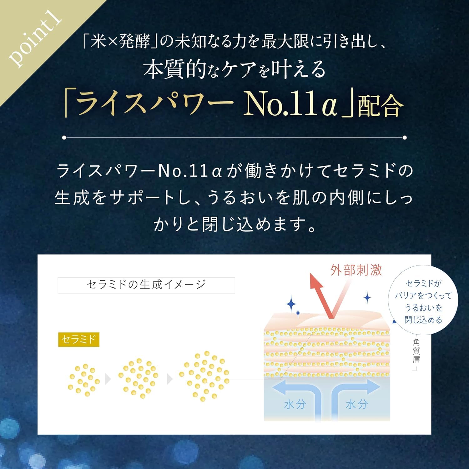 Amazon | ライスフォース 〈プレミアムパーフェクトクリーム〉 30g 