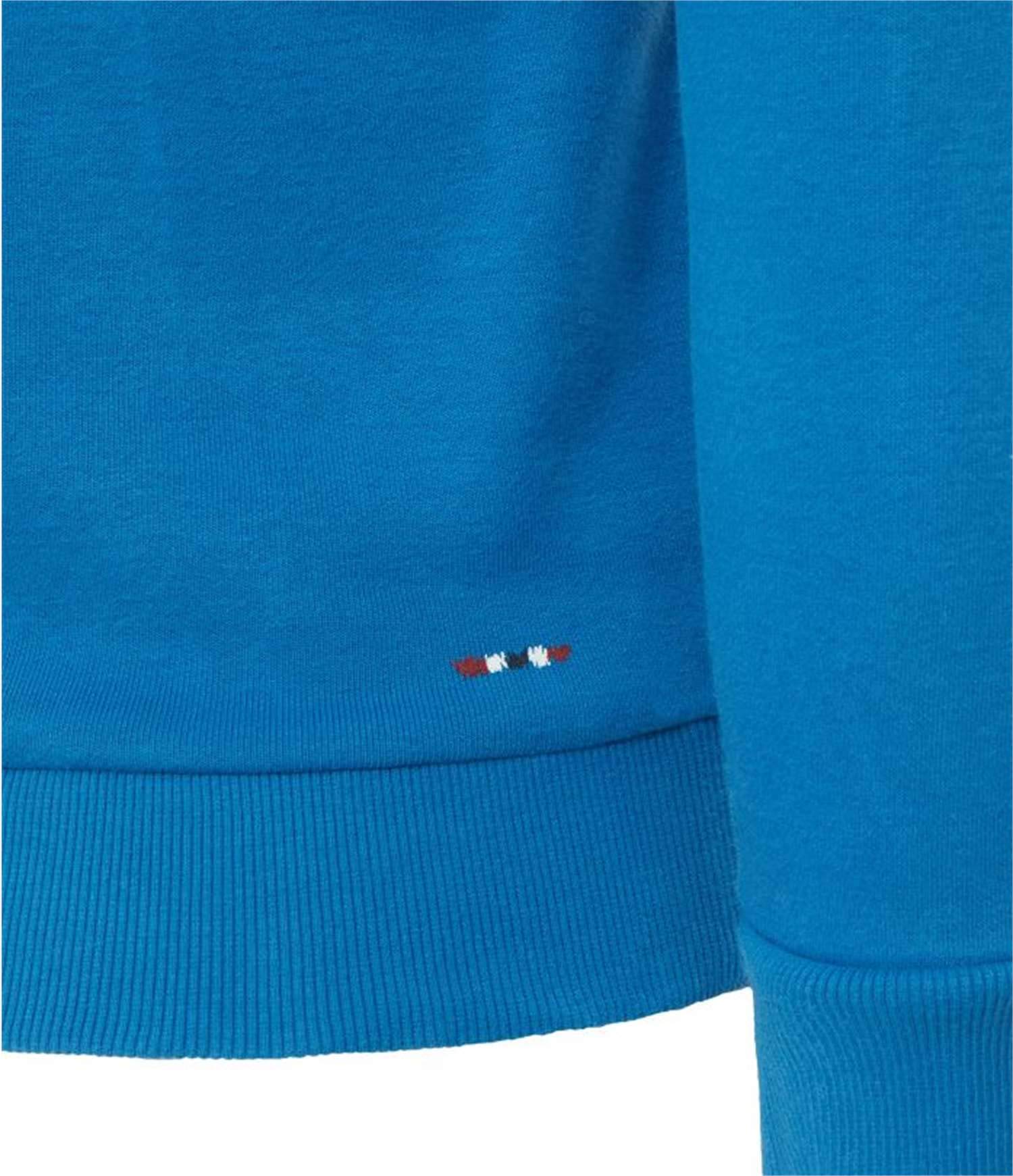 Napapijri Bluza sportowa Chłopcy Bluza Burgee (1 w zestawie)