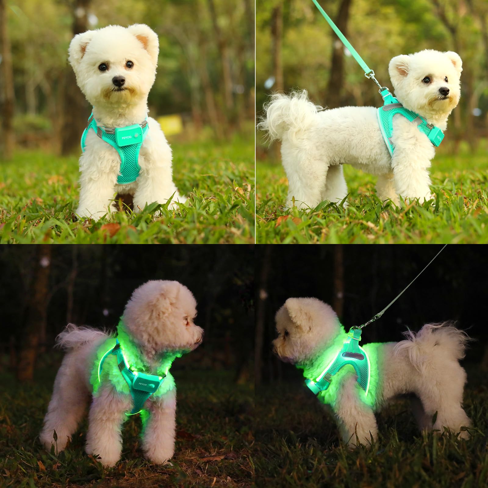 Imbracatura per cani illuminata, imbracatura per cani ricaricabile a LED per cani di piccola taglia e media | Gilet di sicurezza riflettente illuminato per passeggiate notturne e campeggio, leggero e regolabile, verde chiaro, L