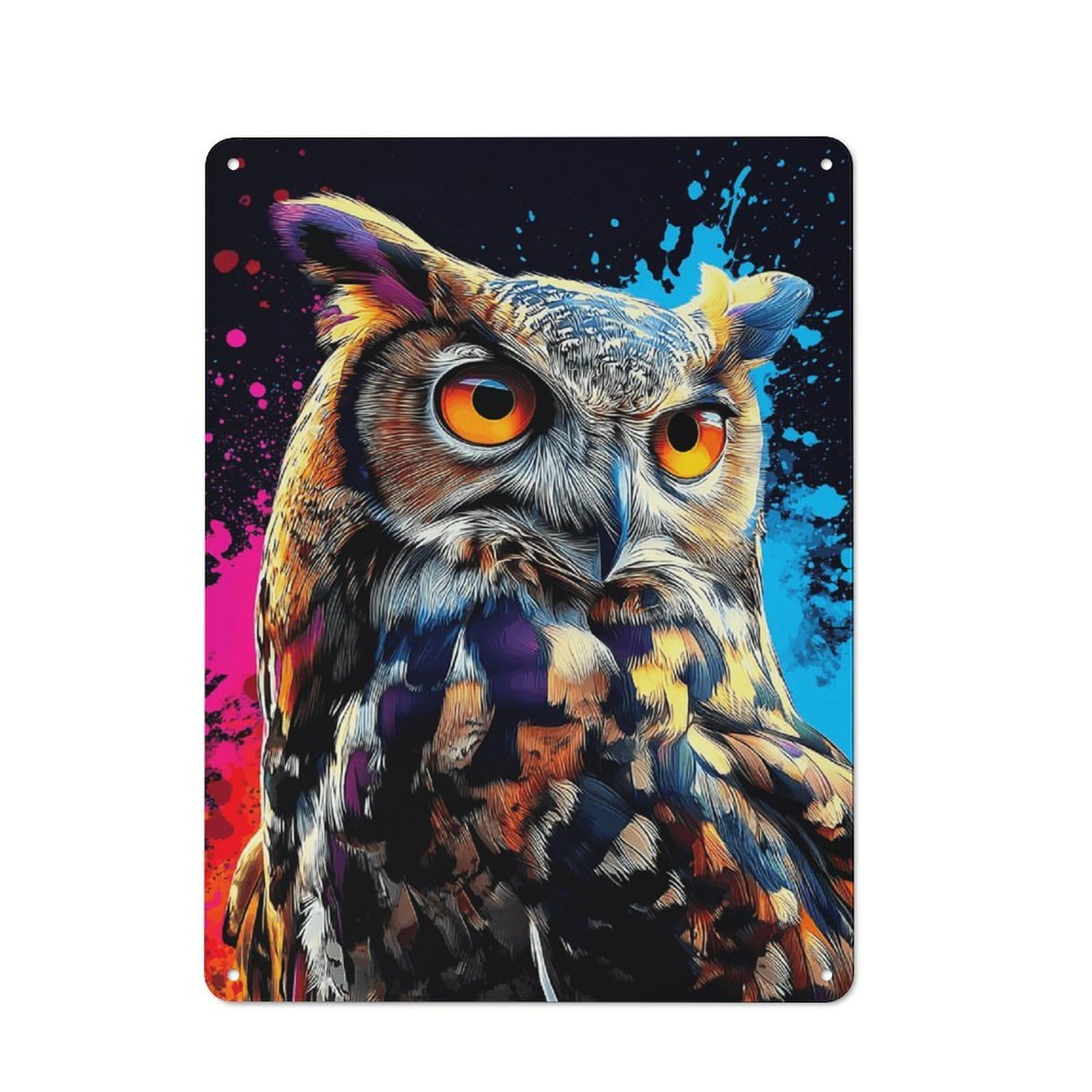 Colorful Abstract Owl Artwork Farmhouse Metal Sign 40x30cm, Barn Style Rustic Kitchen Decor for Cottage, Kitchen, Hallway Or Breakfast Nook
