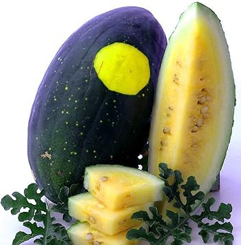 Sustainable Seed Company Moon & Stars Watermelon Seeds
