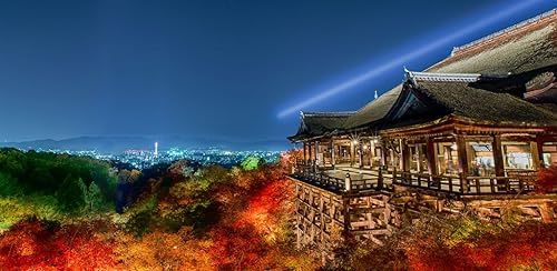 NHK News Reader with Furigana and Dictionary