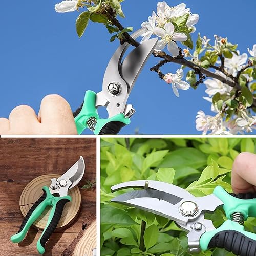 Miniatura 6 de AKOAK 1 paquete de tijeras de podar, tijeras profesionales de flores, cortadores de ramas, afiladas, duraderas, adecuadas para plantas, ramas, poda