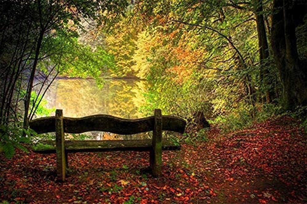 banchi di meditazione