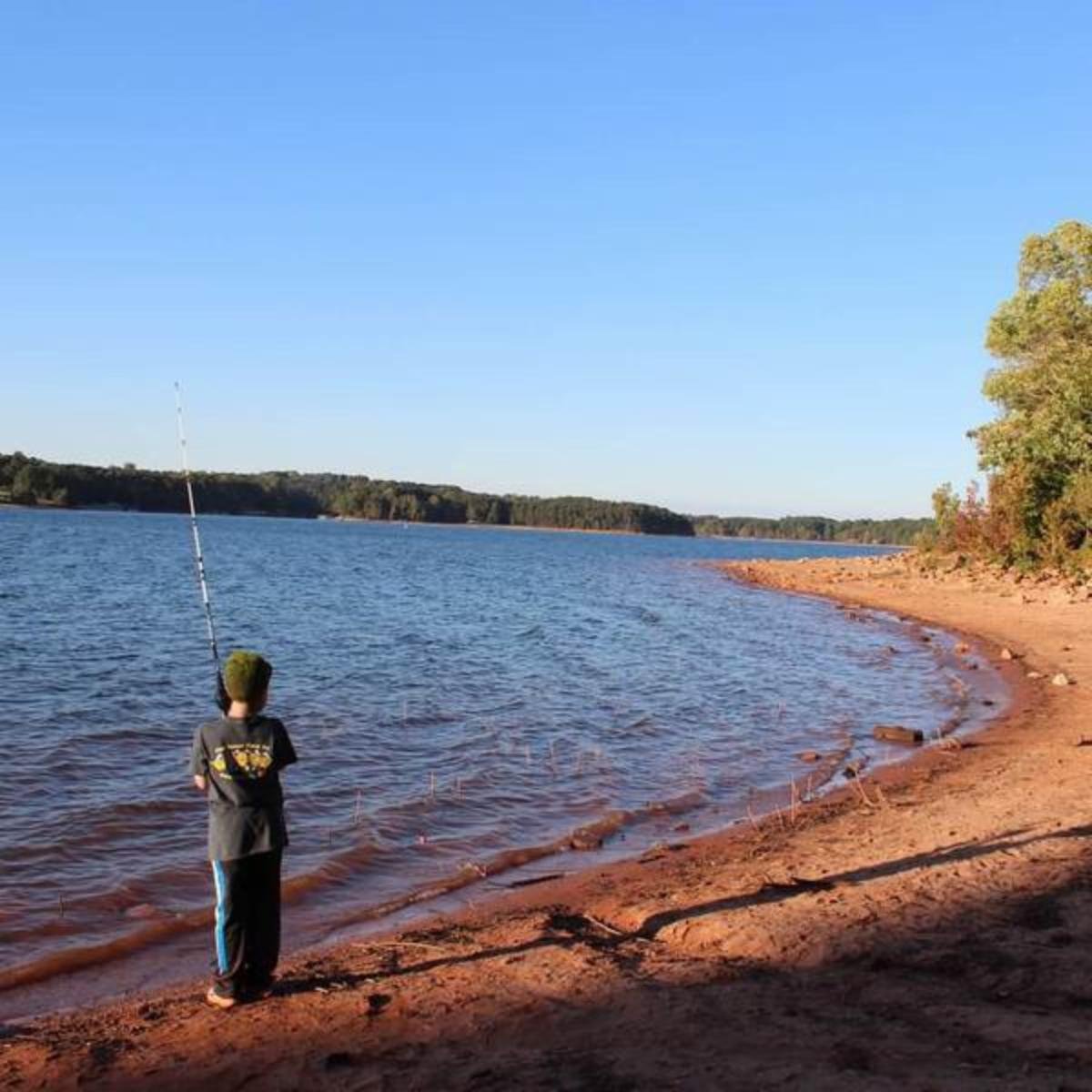 Sensory Reprogramming