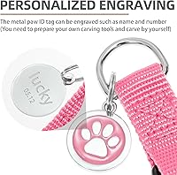 Vista 4 de PUPTECK Arnés para perro sin tirones, suave y ajustable, de nailon básico, chaleco para cachorros para caminar al aire libre con etiqueta