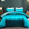Whale Flotilla 2-Piece Reversible Silky Soft Twin Size Comforter Bedding Set, Luxurious Satin Comforters with Satin Pillowcase, Lightweight Duvet for All Seasons, Black