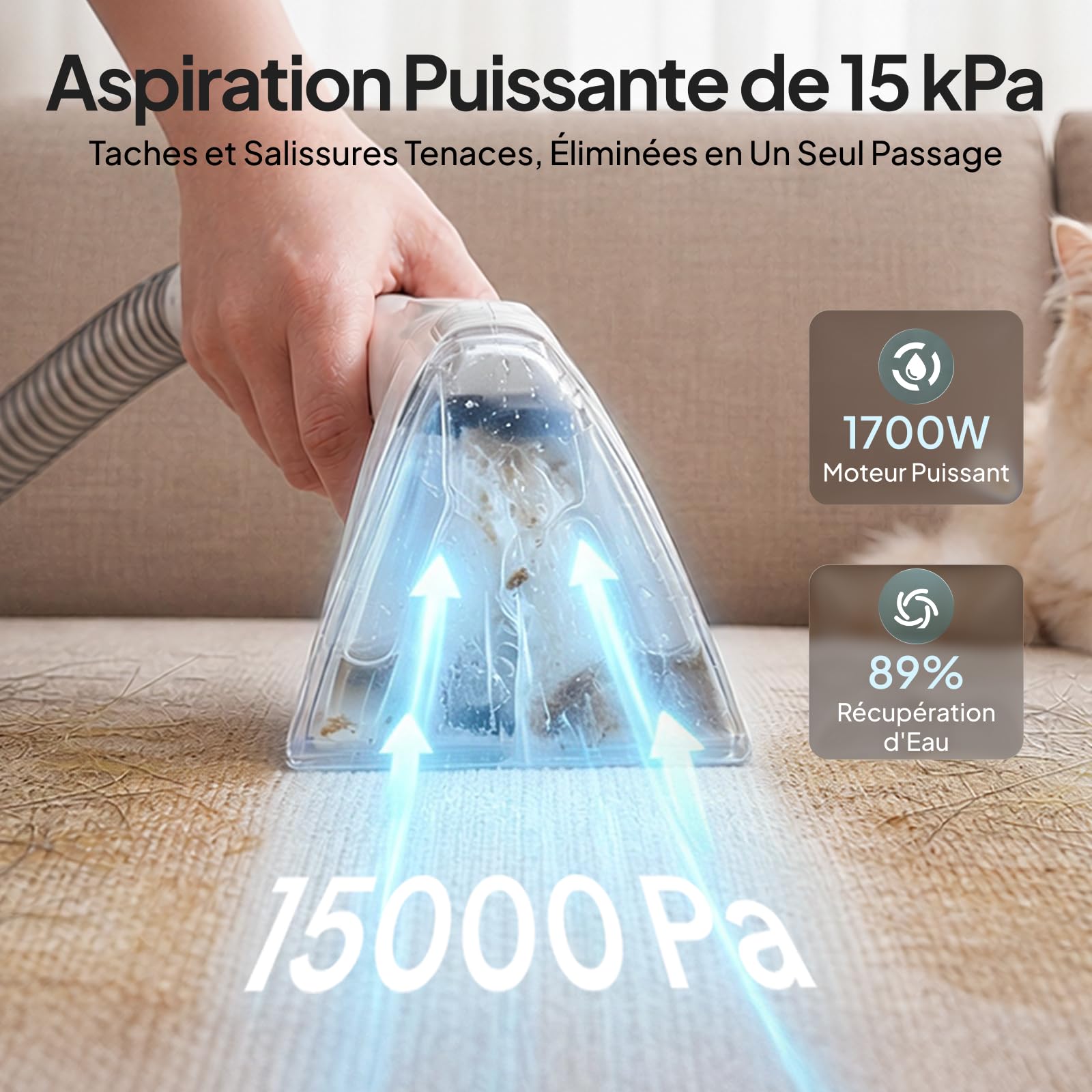 Livatro Shampouineuse à Vapeur 100 °C pour Canapés et Tissus