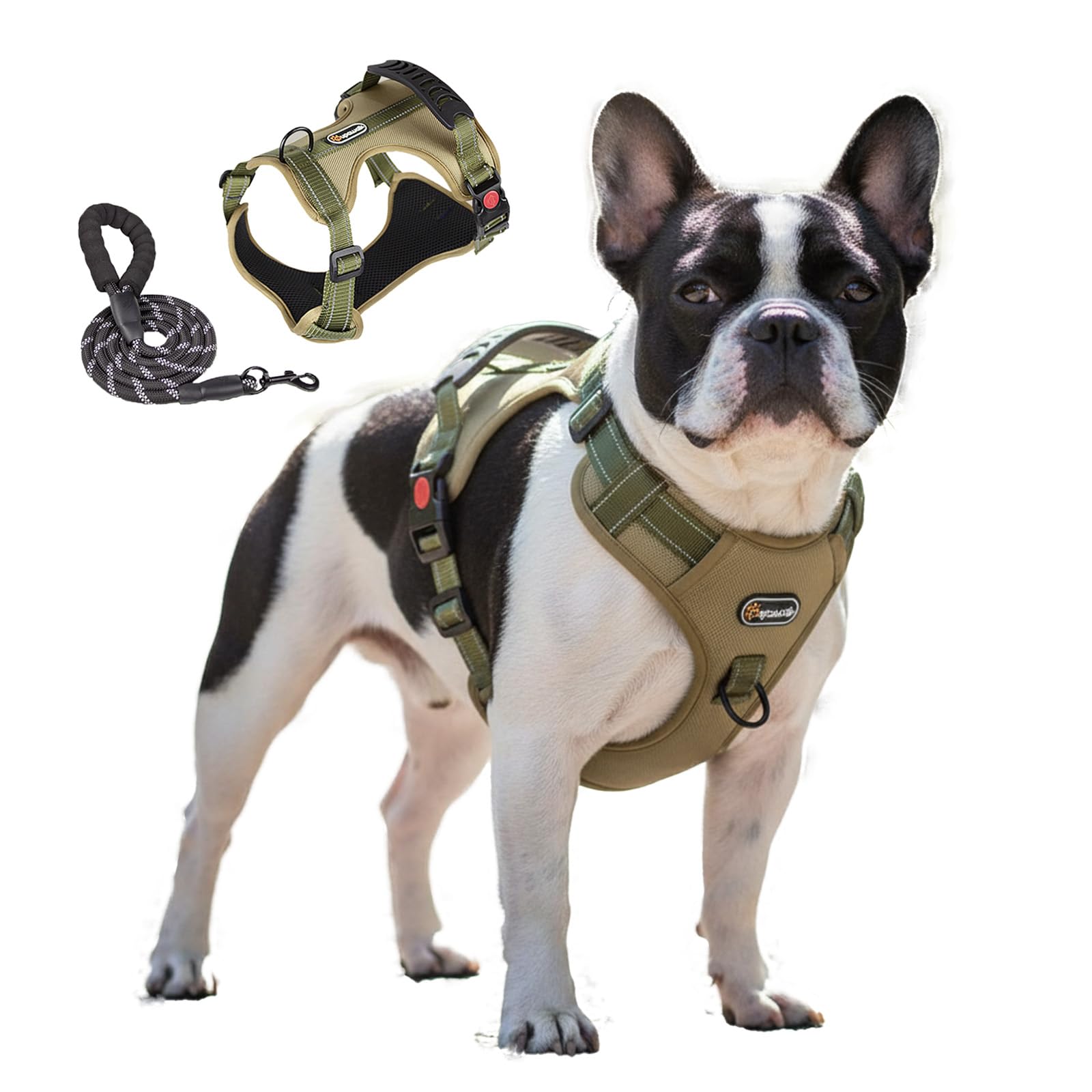 LUVMOJO Tactical Dog Harness and Leash Set, No-Pull Adjustable Puppy Vest Collar with Handle, Dual Leash Clips, Reflective Oxford Chest Harnesses with