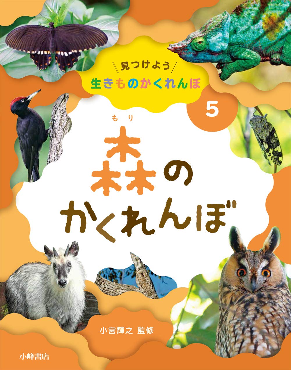 オオカミとフクロウ　フクロウとこもれび森のかくれんぼ　グリーン オオカミとフクロウ フクロウとこもれび森のかくれんぼ“ゆらぎ