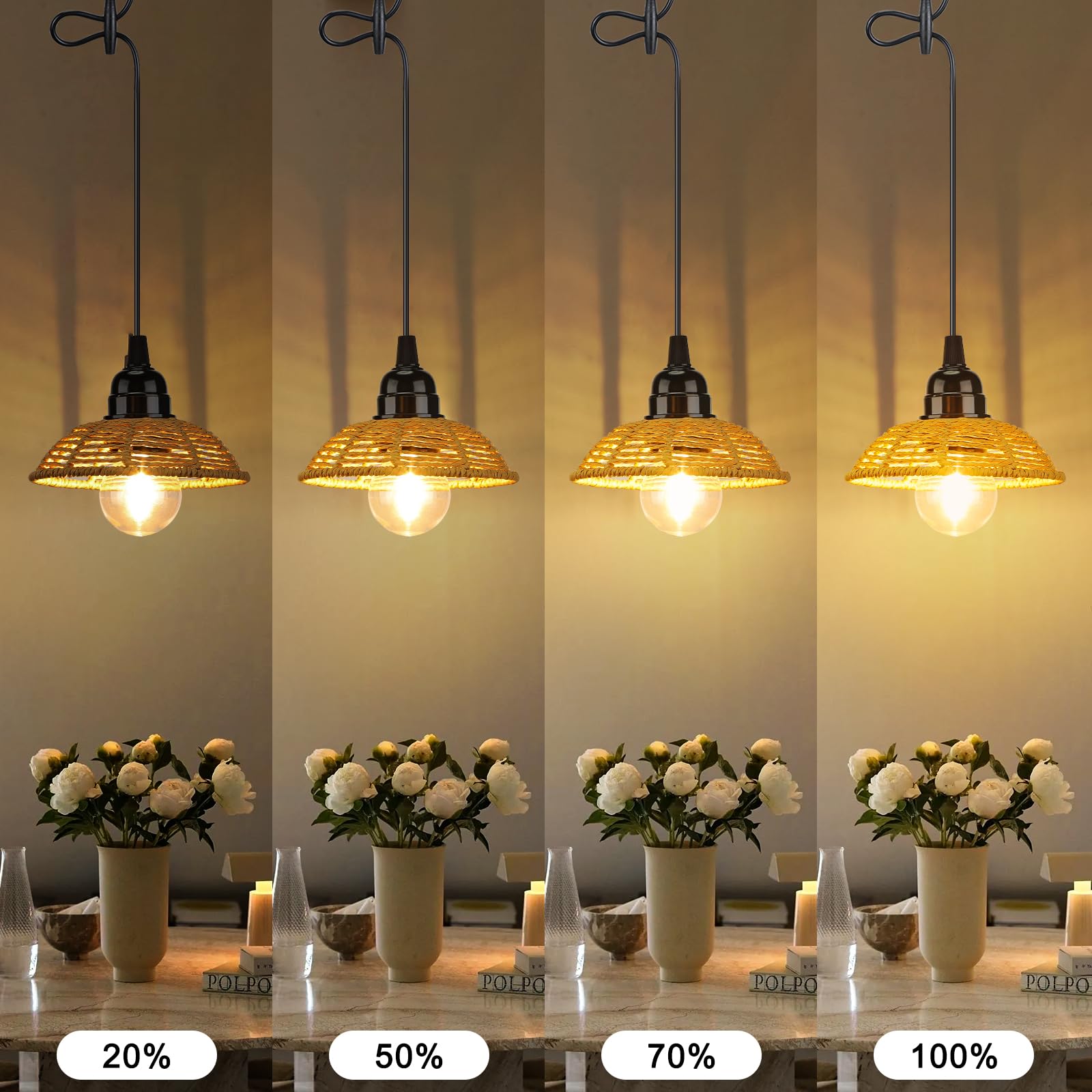 Suspension Luminaire Rotin Exterieur Intérieur Dimmable Batterie Télécommande IP65 Portable Minuterie Jardin Camping Étanche
