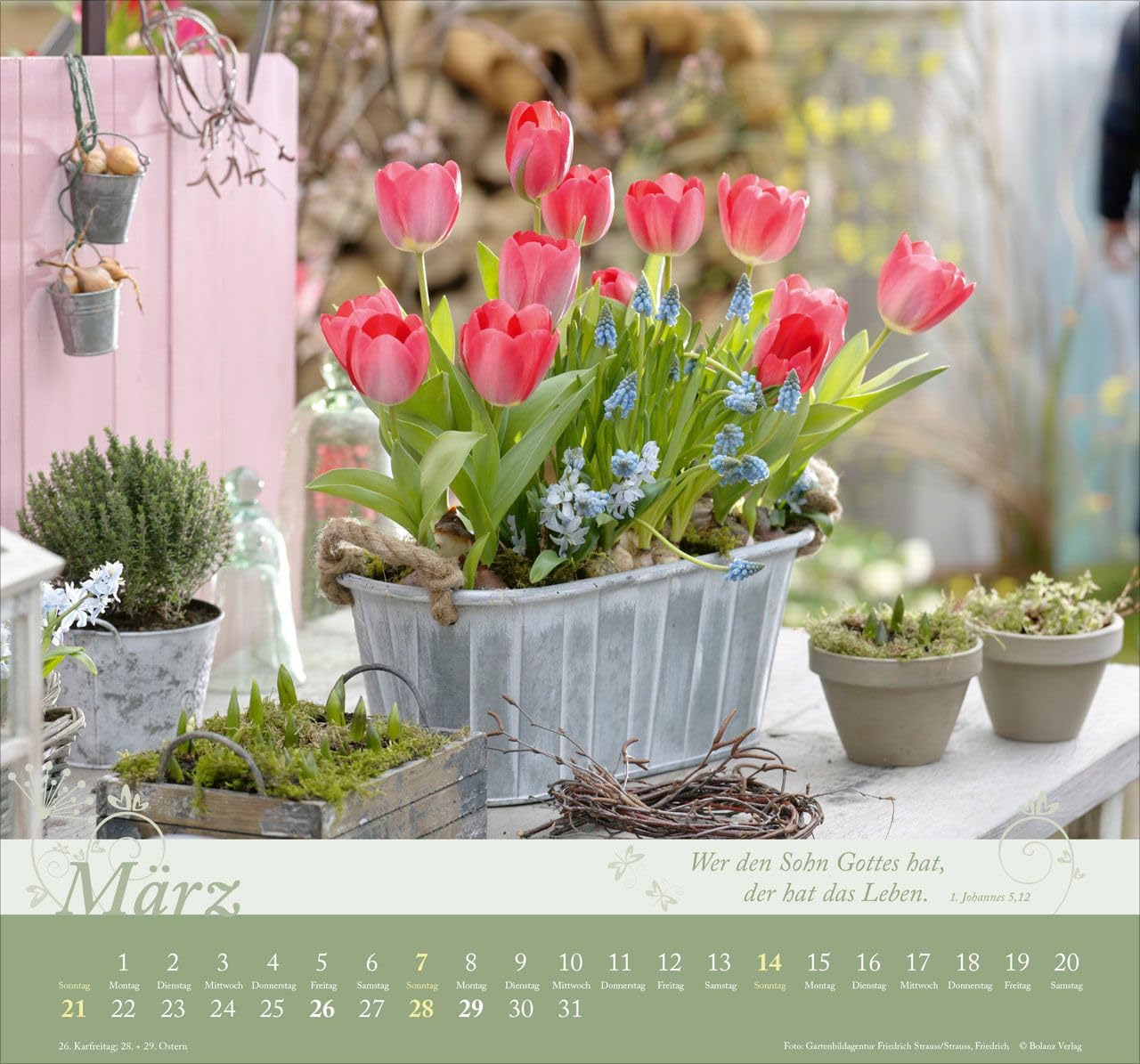 Im Garten zuhause 2027 – Wandkalender