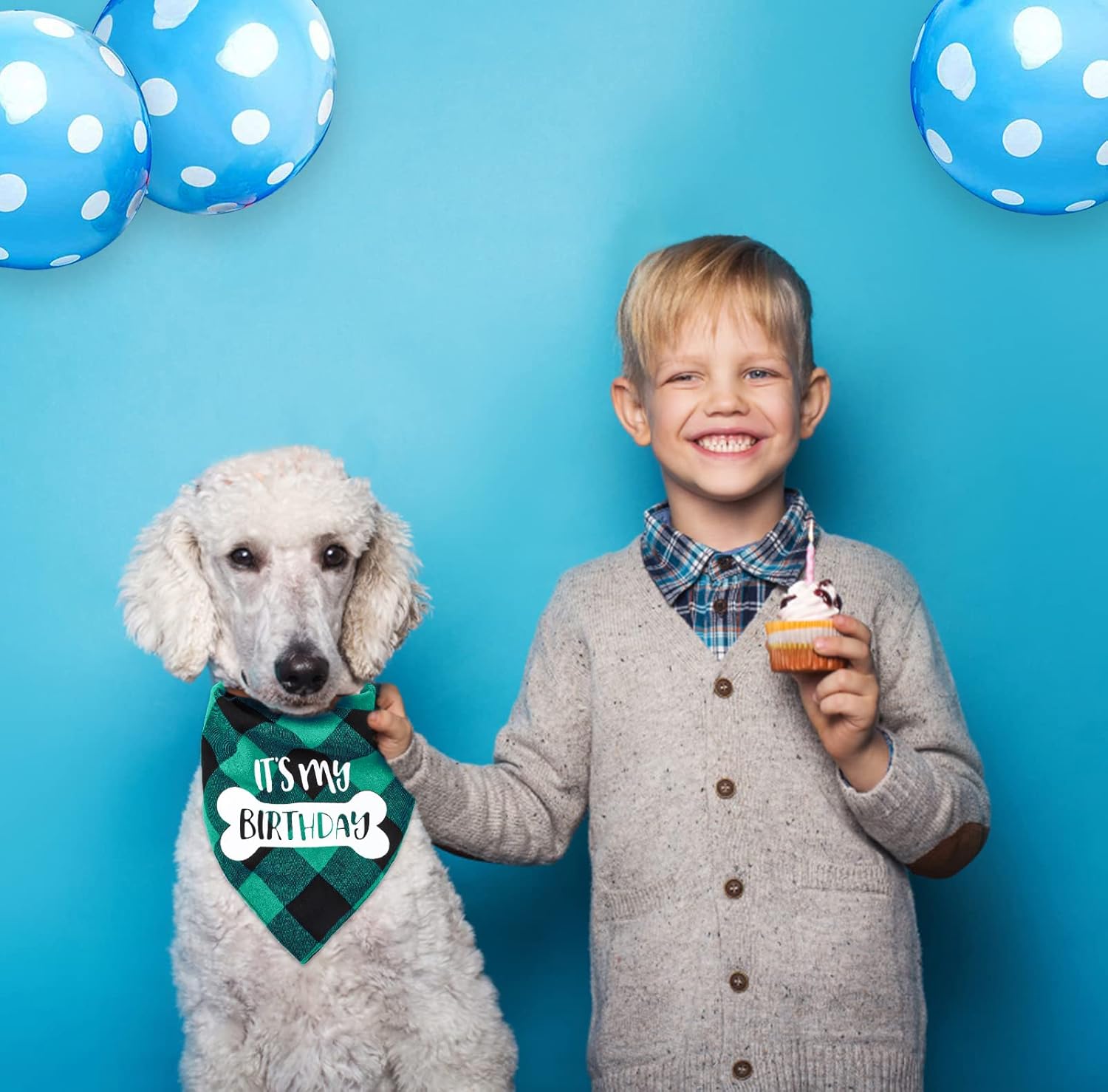 Dog Birthday Bandana, VIPITH Double Sided Cotton Triangle Dog Bandanas Dog Birthday Party Supplies Dog Bandanas Boy Girl Dog Birthday Gift Plaid Bibs Scarf for Small to Large Dogs Cats Pets (Green)