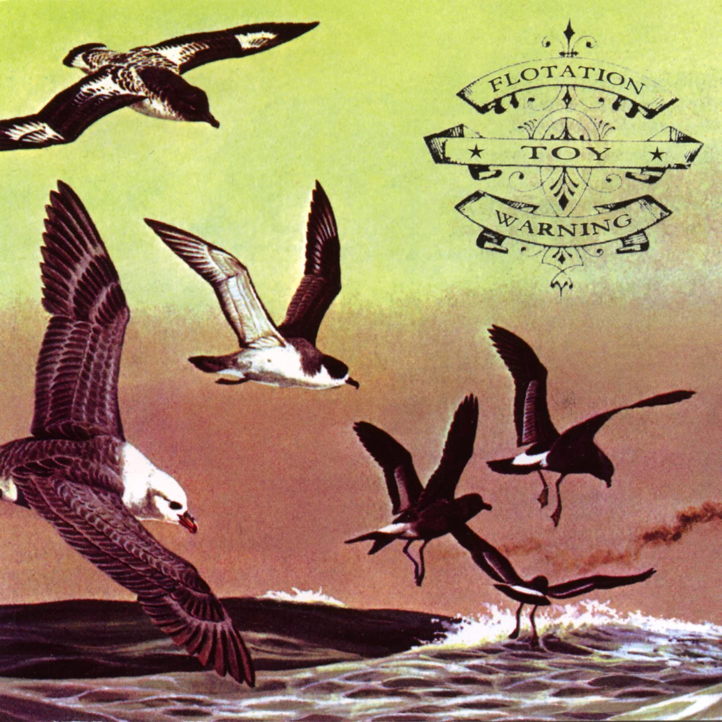Flotation Toy Warning