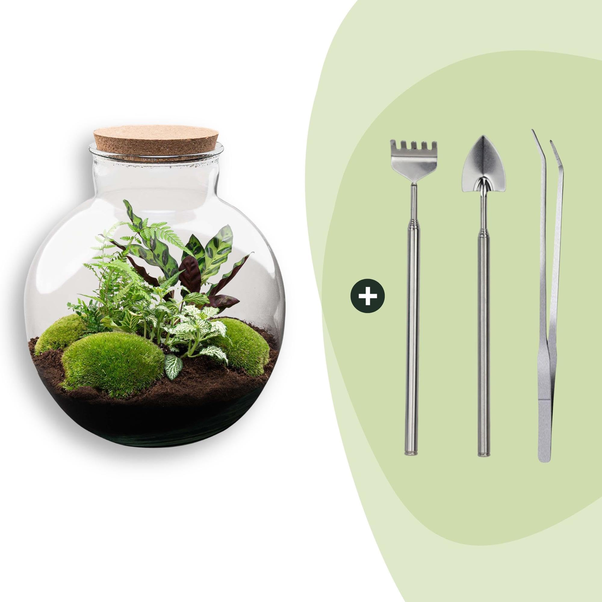 DIY Terrarium mit Glas, für Zuhause, Transparent, Ø 31x30 cm Set mit Licht
