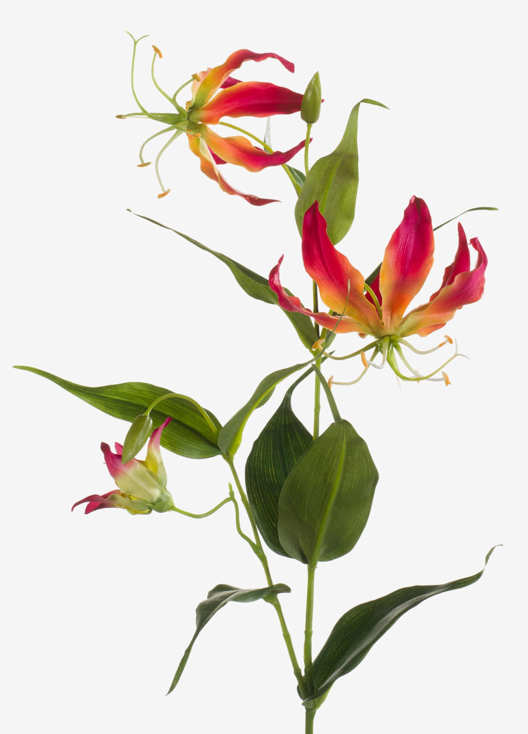 artplants.de Artificial Gloriosa flower, pink-yellow, 31"/80cm - Silk flower/Artificial flower pink