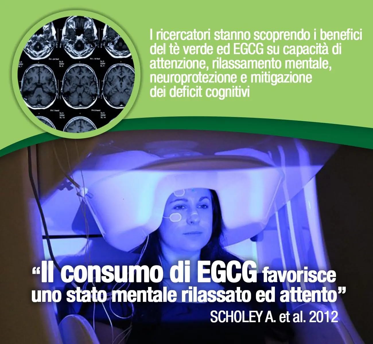 EGCG da tè verde ≥95% - Stimolante metabolico, blocca-fame, energizzante