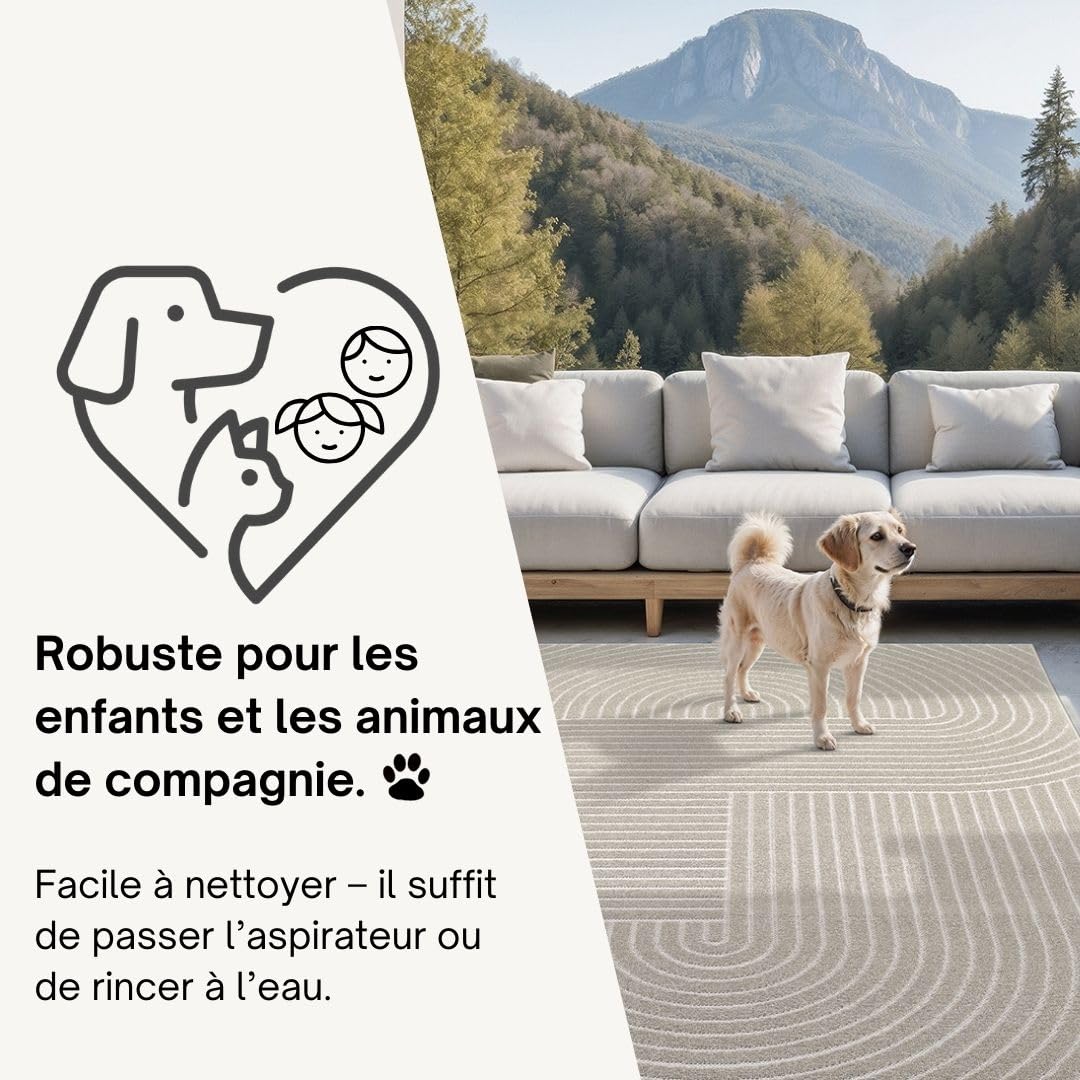 the carpet Santo Plus Tapis d'extérieur résistant aux intempéries – Tapis de Balcon de qualité supérieure Crème – Tapis bohème en polypropylène 120 x 160 cm