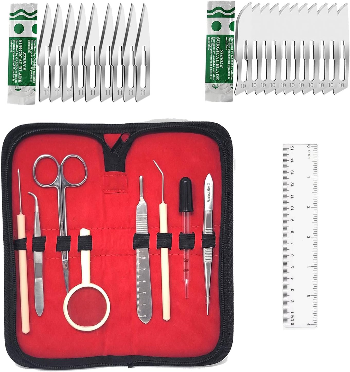 Budget Dissection Kit for High School & College Dissections - 30 PC Kit With Glass Dropper & Magnifying Glass in a Zippered Case - Stainless Steel Instruments with FREE Scalpel Blades