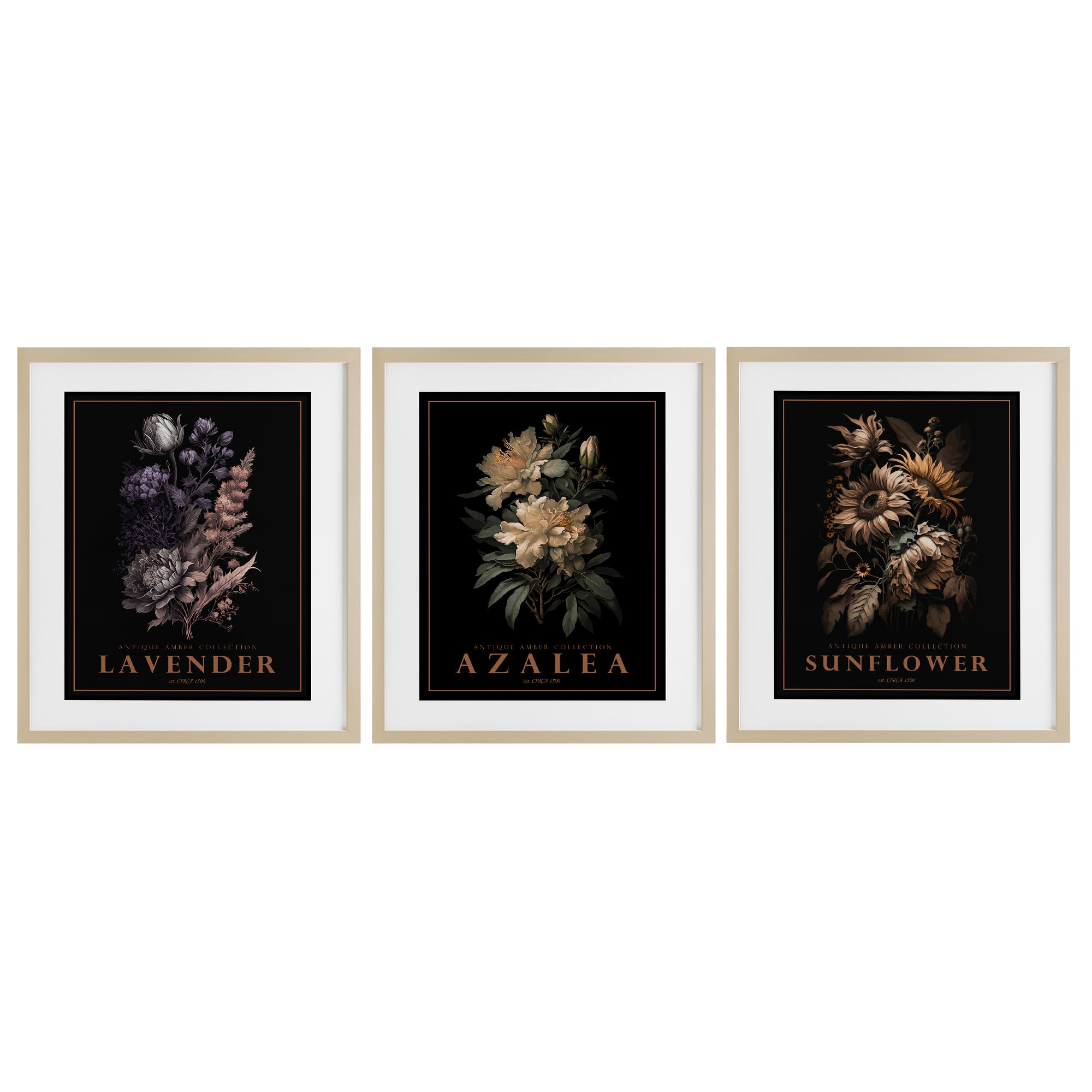 Stupell Industries Botanical Floral Triptych Antique Botanical Herb Bushels, 17 X 21 Inch Framed Print Under Glass Set