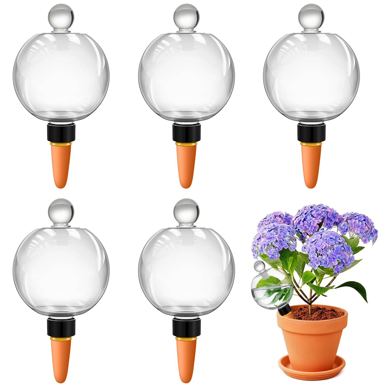 Photo 1 of DI QIU REN 6-Pack Self-Watering Globes (19oz, Clear)