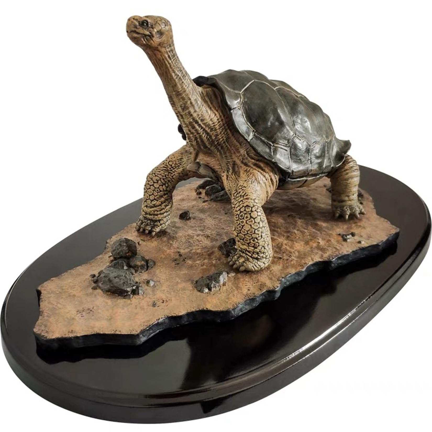 動物　爬虫類　特大フィギュア ガラパゴスゾウガメ Amazon.co.jp: 博物志 ガラパゴスゾウガメ 20CM 樹脂 台座付き
