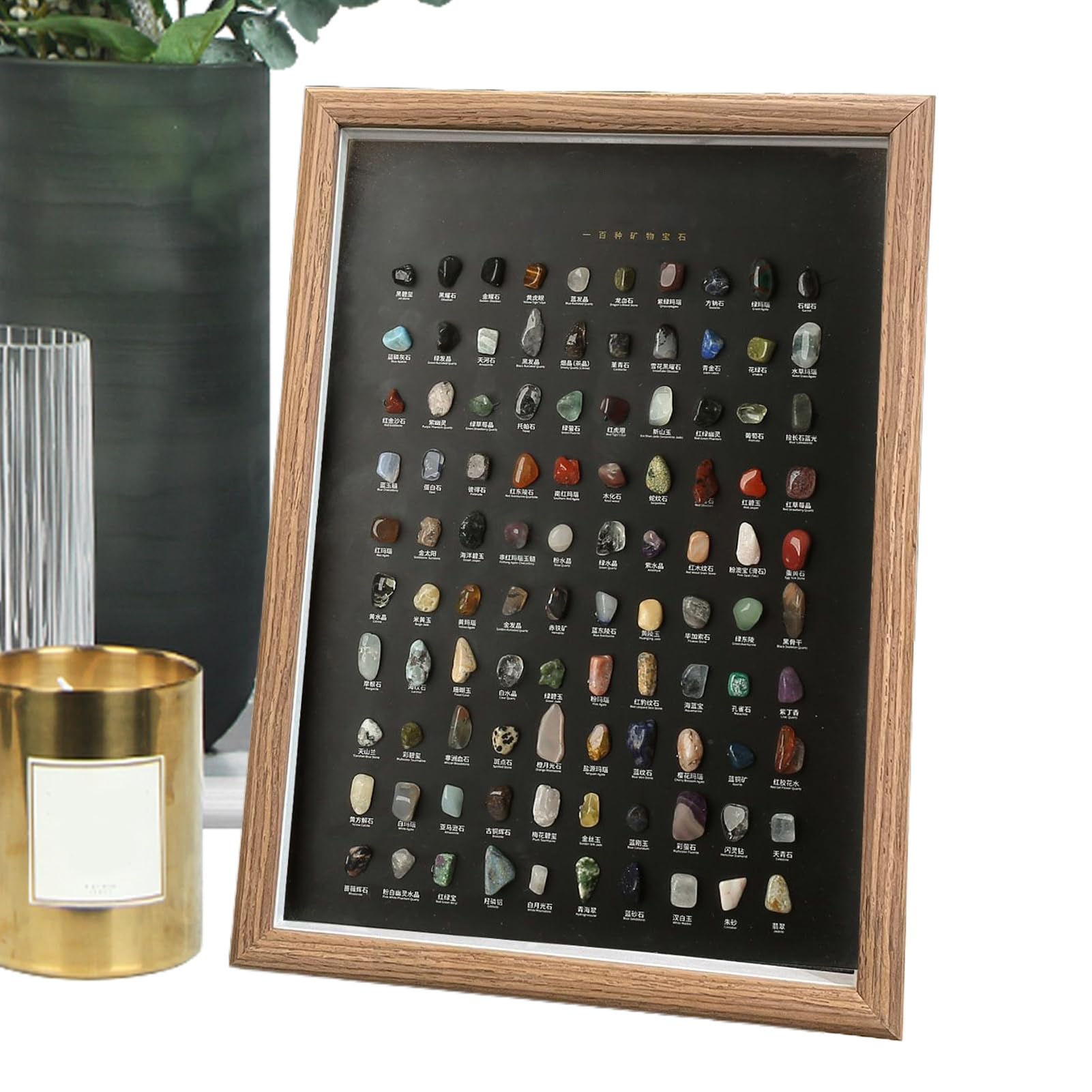 Colección de para Conjunto Científico Educativo 100 Piezas